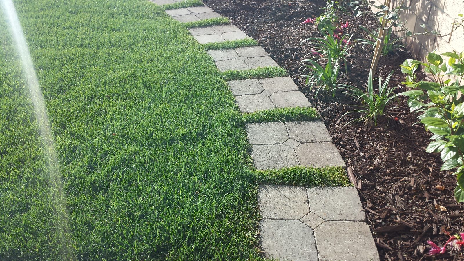 Artificial turf lawn