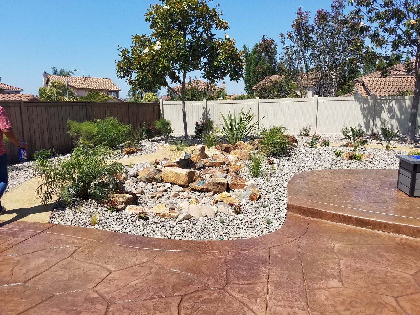 Drought-tolerant xeriscape planting