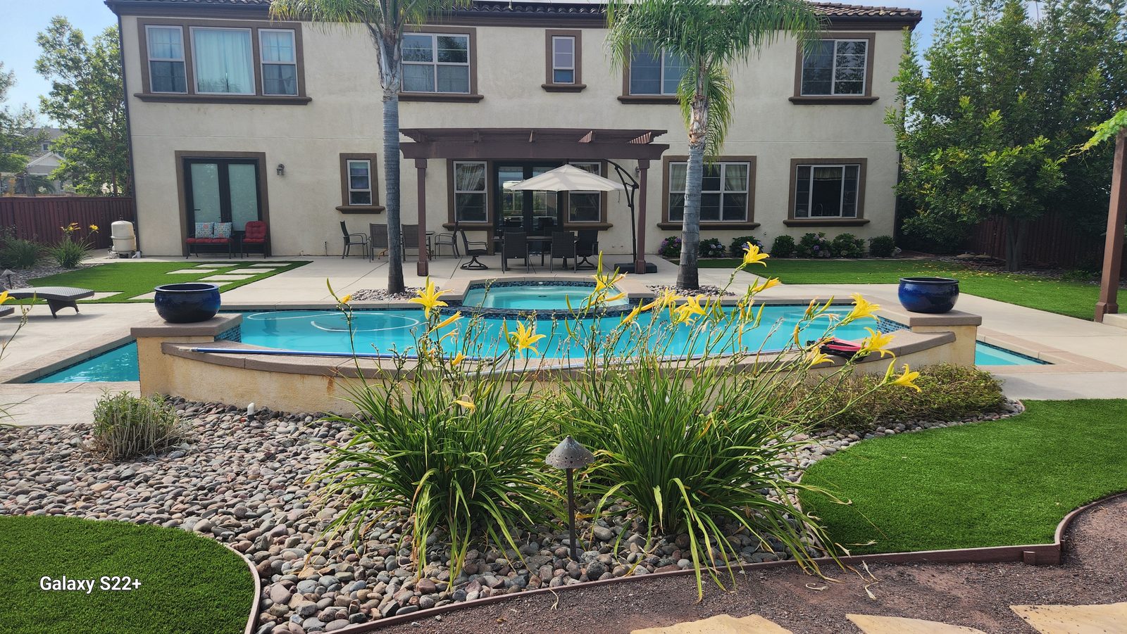 Freeform pool integrated into an established hillside garden in San Diego County